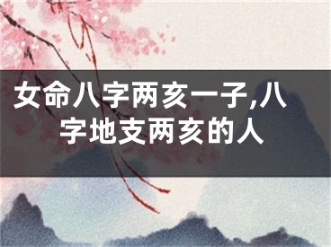 女命八字两亥一子,八字地支两亥的人