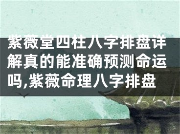 紫薇堂四柱八字排盘详解真的能准确预测命运吗,紫薇命理八字排盘