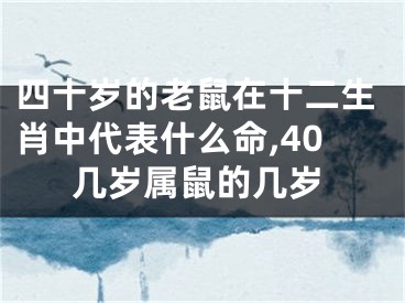 四十岁的老鼠在十二生肖中代表什么命,40几岁属鼠的几岁