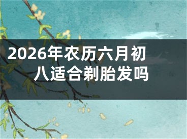 2026年农历六月初八适合剃胎发吗