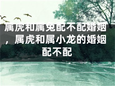 属虎和属兔配不配婚姻，属虎和属小龙的婚姻配不配