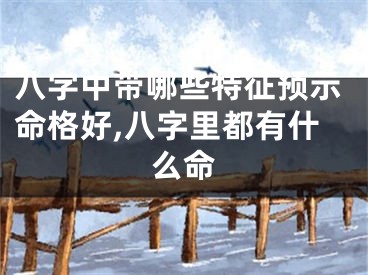 八字中带哪些特征预示命格好,八字里都有什么命