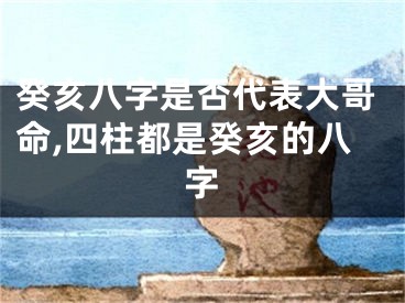 癸亥八字是否代表大哥命,四柱都是癸亥的八字