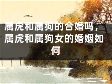 属虎和属狗的合婚吗，属虎和属狗女的婚姻如何