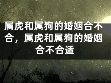 属虎和属狗的婚姻合不合，属虎和属狗的婚姻合不合适