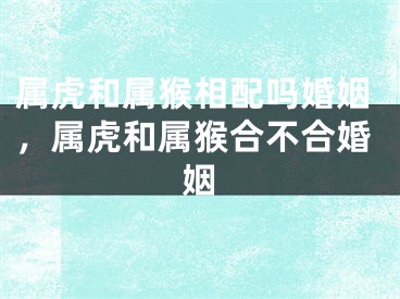 属虎和属猴相配吗婚姻，属虎和属猴合不合婚姻