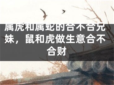 属虎和属蛇的合不合兄妹，鼠和虎做生意合不合财