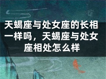 天蝎座与处女座的长相一样吗，天蝎座与处女座相处怎么样