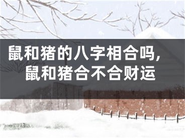 鼠和猪的八字相合吗,鼠和猪合不合财运