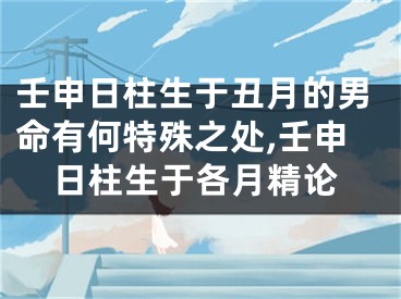 壬申日柱生于丑月的男命有何特殊之处,壬申日柱生于各月精论