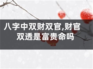 八字中双财双官,财官双透是富贵命吗