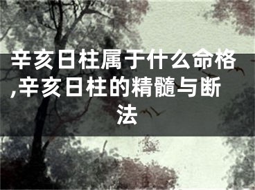辛亥日柱属于什么命格,辛亥日柱的精髓与断法