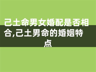 己土命男女婚配是否相合,己土男命的婚姻特点