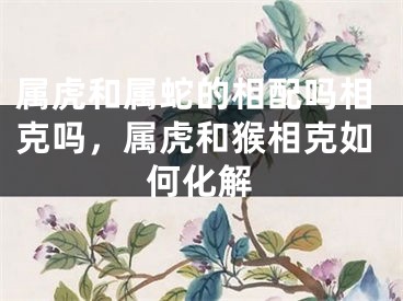 属虎和属蛇的相配吗相克吗,属虎和猴相克如何化解