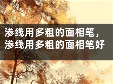 渗线用多粗的面相笔，渗线用多粗的面相笔好