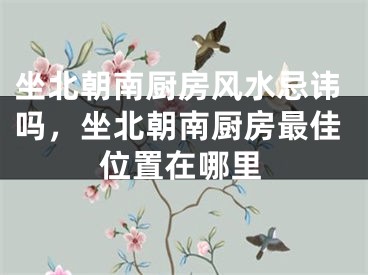 坐北朝南厨房风水忌讳吗，坐北朝南厨房最佳位置在哪里