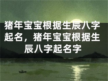 猪年宝宝根据生辰八字起名，猪年宝宝根据生辰八字起名字