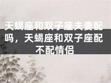 天蝎座和双子座夫妻配吗，天蝎座和双子座配不配情侣