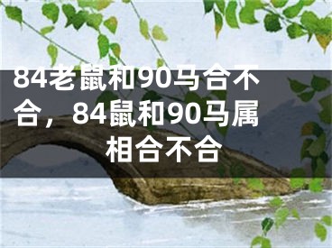 84老鼠和90马合不合，84鼠和90马属相合不合