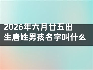 2026年六月廿五出生唐姓男孩名字叫什么