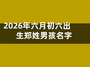 2026年六月初六出生郑姓男孩名字