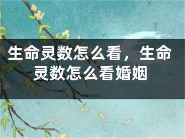 生命灵数怎么看，生命灵数怎么看婚姻