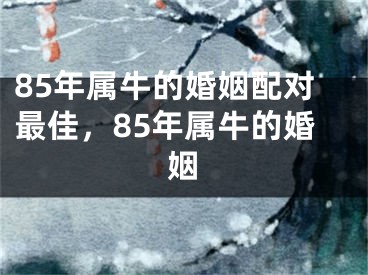 85年属牛的婚姻配对最佳，85年属牛的婚姻