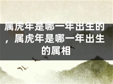 属虎年是哪一年出生的，属虎年是哪一年出生的属相