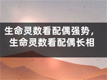 生命灵数看配偶强势,生命灵数看配偶长相