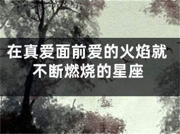 在真爱面前爱的火焰就不断燃烧的星座