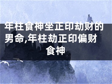 年柱食神坐正印劫财的男命,年柱劫正印偏财食神