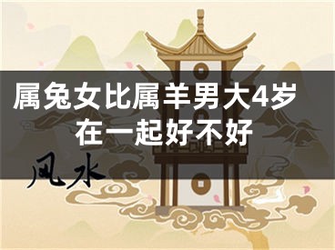 属兔女比属羊男大4岁在一起好不好