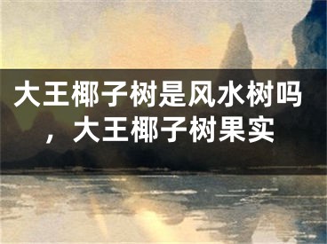 大王椰子树是风水树吗，大王椰子树果实