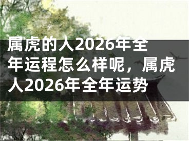 属虎的人2026年全年运程怎么样呢，属虎人2026年全年运势