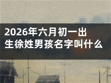 2026年六月初一出生徐姓男孩名字叫什么