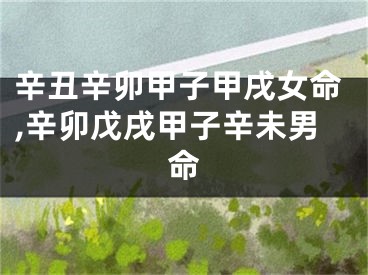 辛丑辛卯甲子甲戌女命,辛卯戊戌甲子辛未男命