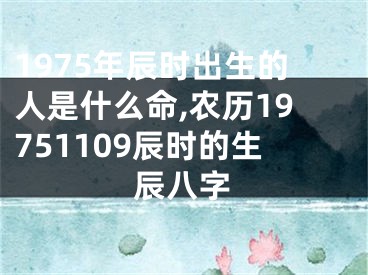 1975年辰时出生的人是什么命,农历19751109辰时的生辰八字
