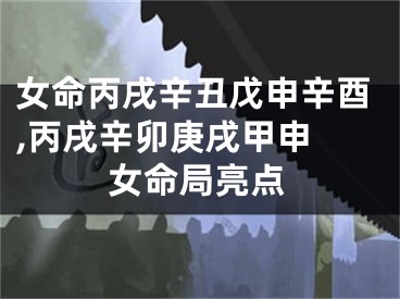 女命丙戌辛丑戊申辛酉,丙戌辛卯庚戌甲申 女命局亮点