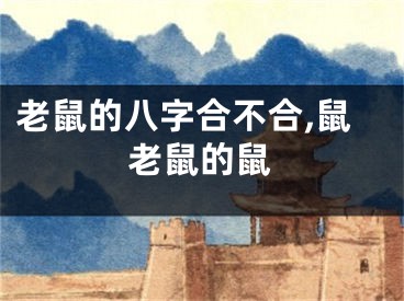 老鼠的八字合不合,鼠老鼠的鼠