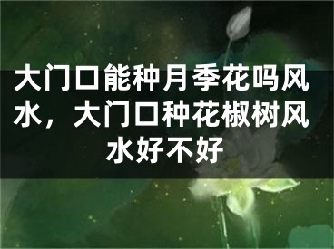 大门口能种月季花吗风水，大门口种花椒树风水好不好