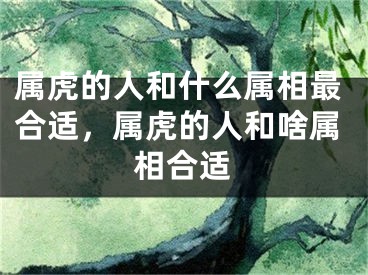 属虎的人和什么属相最合适，属虎的人和啥属相合适
