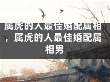 属虎的人最佳婚配属相，属虎的人最佳婚配属相男