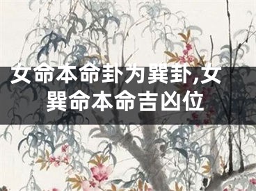 女命本命卦为巽卦,女巽命本命吉凶位
