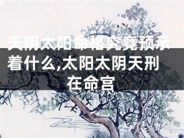 天阴太阳命格究竟预示着什么,太阳太阴天刑在命宫