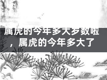 属虎的今年多大岁数啦，属虎的今年多大了