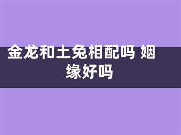 金龙和土兔相配吗 姻缘好吗