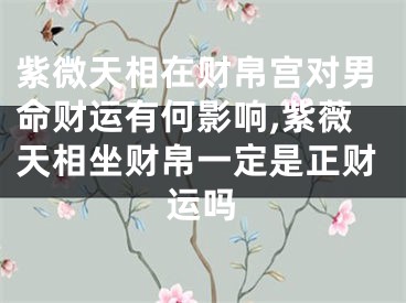 紫微天相在财帛宫对男命财运有何影响,紫薇天相坐财帛一定是正财运吗