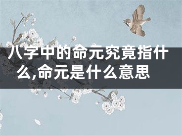 八字中的命元究竟指什么,命元是什么意思