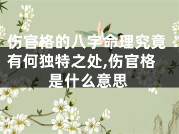 伤官格的八字命理究竟有何独特之处,伤官格是什么意思