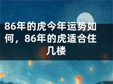 86年的虎今年运势如何，86年的虎适合住几楼
